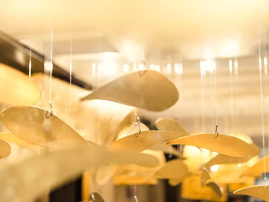 Immagine 5 di Bar / Ristorante in affitto  a Pietrasanta