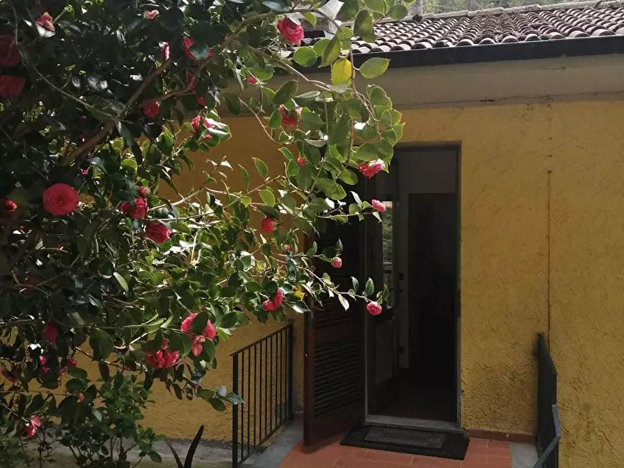 Immagine 7 di Casa indipendente in vendita  a Stazzema