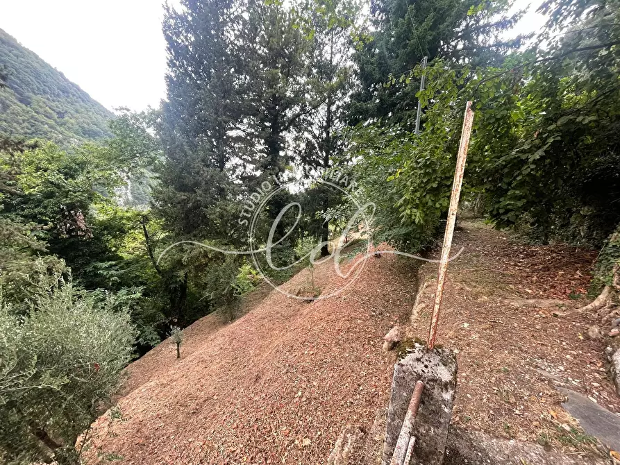 Immagine 24 di Porzione di casa in vendita  a Camaiore