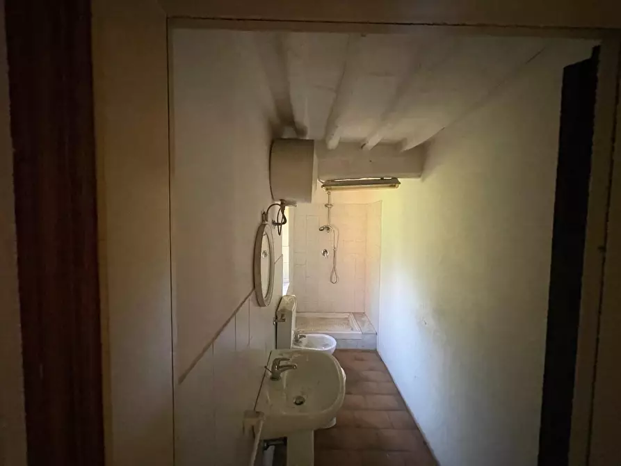 Immagine 31 di Rustico / casale in vendita  a Camaiore