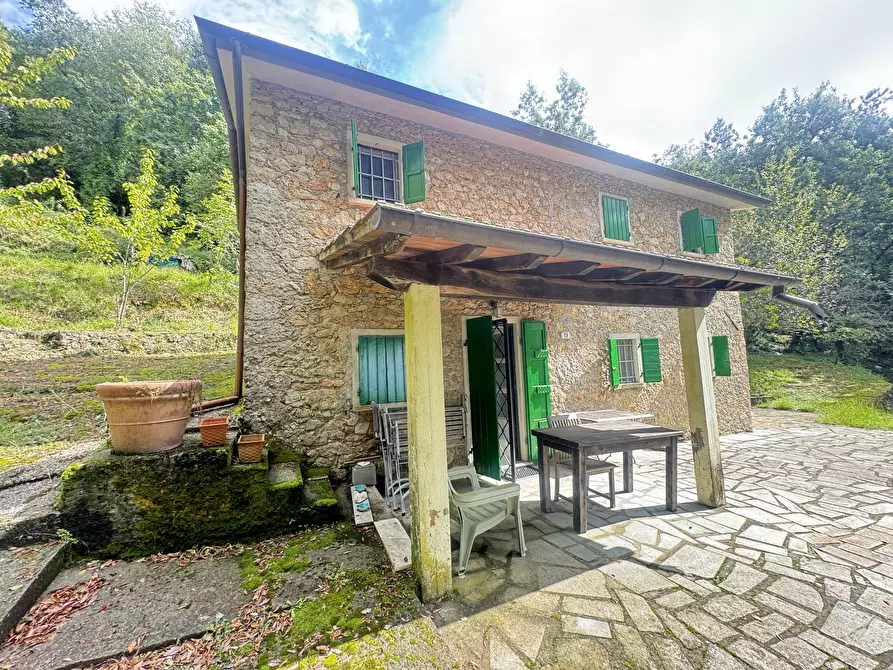 Immagine 34 di Rustico / casale in vendita  a Pietrasanta