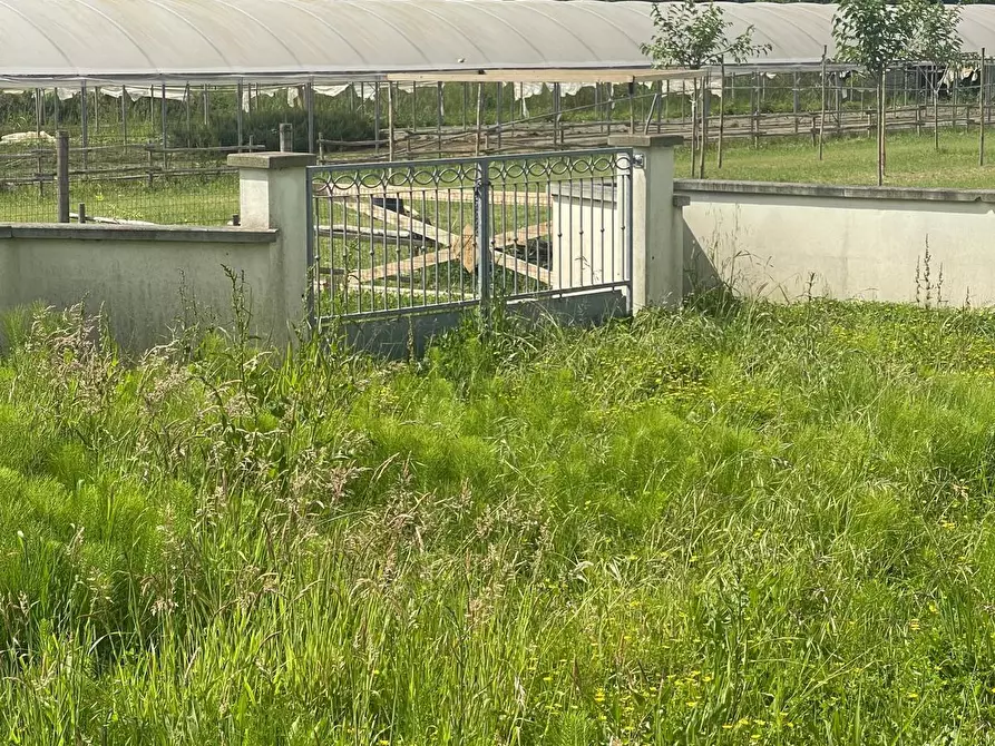 Immagine 17 di Villa in vendita  a Camaiore