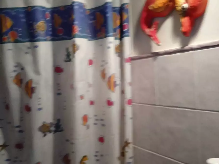 Immagine 53 di Porzione di casa in vendita  a Seravezza