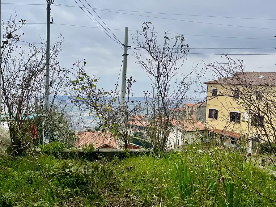Immagine 6 di Casa indipendente in vendita  a Pietrasanta