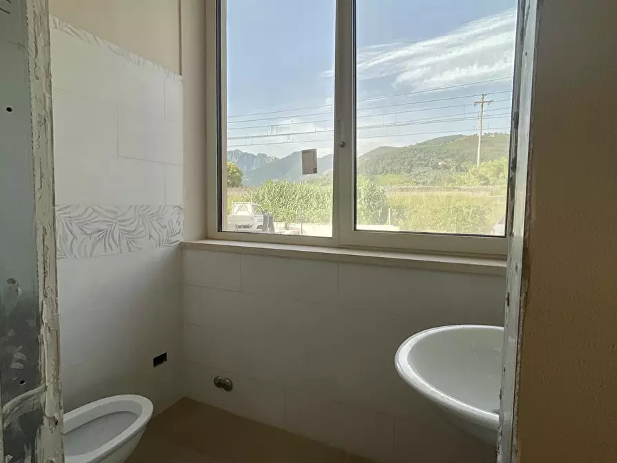 Immagine 8 di Showroom in affitto  a Pietrasanta