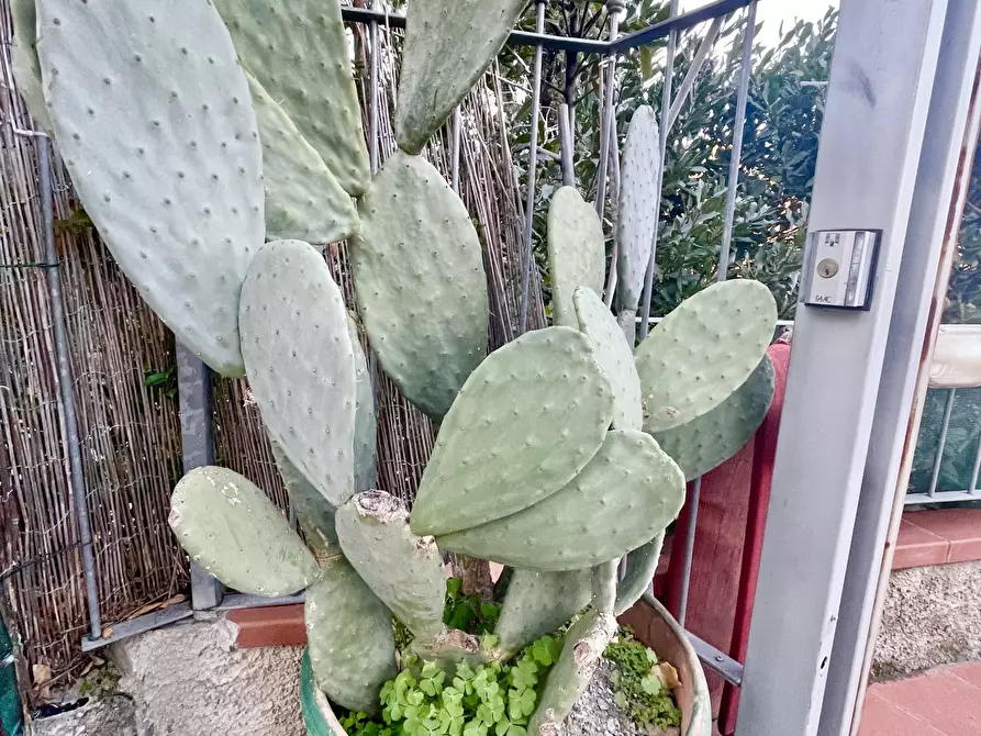 Immagine 91 di Porzione di casa in vendita  a Massarosa