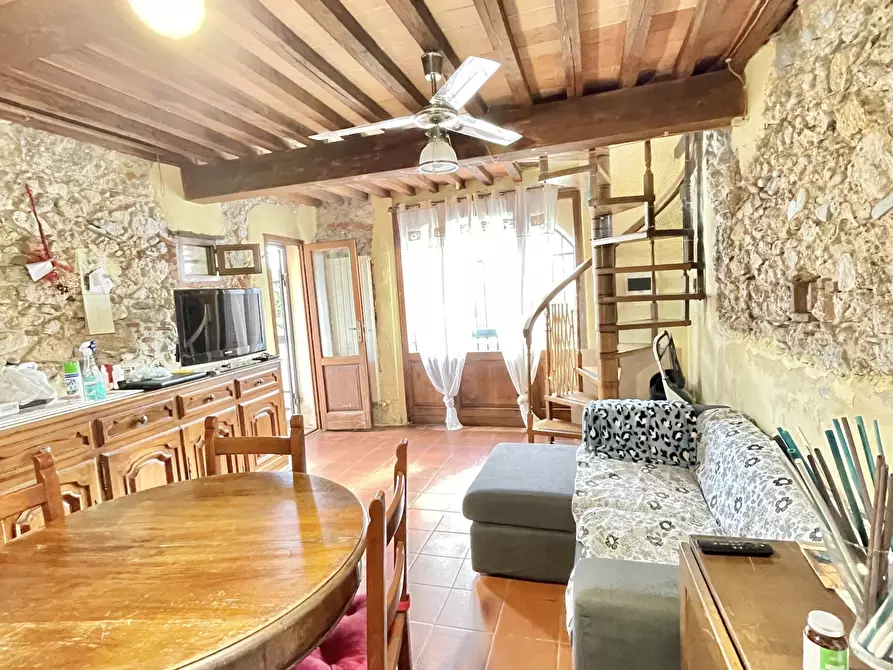 Immagine 53 di Rustico / casale in vendita  a Camaiore