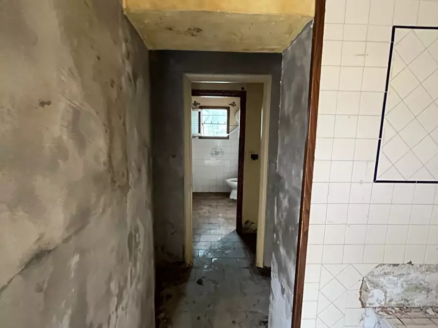 Immagine 20 di Rustico / casale in vendita  a Camaiore