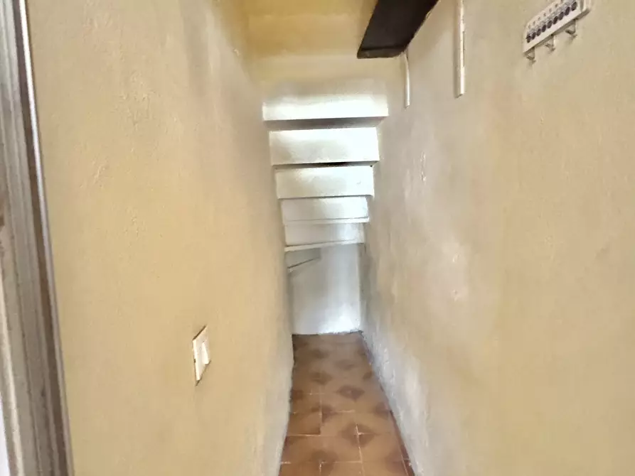 Immagine 18 di Terratetto in vendita  a Camaiore