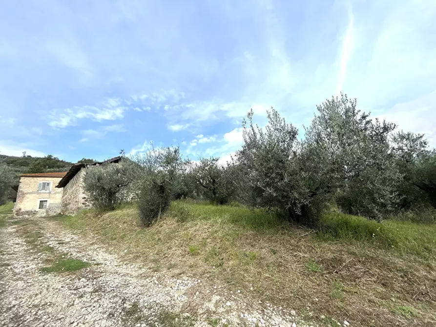 Immagine 13 di Rustico / casale in vendita  in Strada Provinciale 118 a Anagni