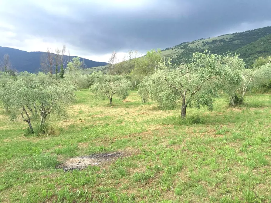 Immagine 1 di Terreno agricolo in vendita  in Contrada Casalotto a Piglio