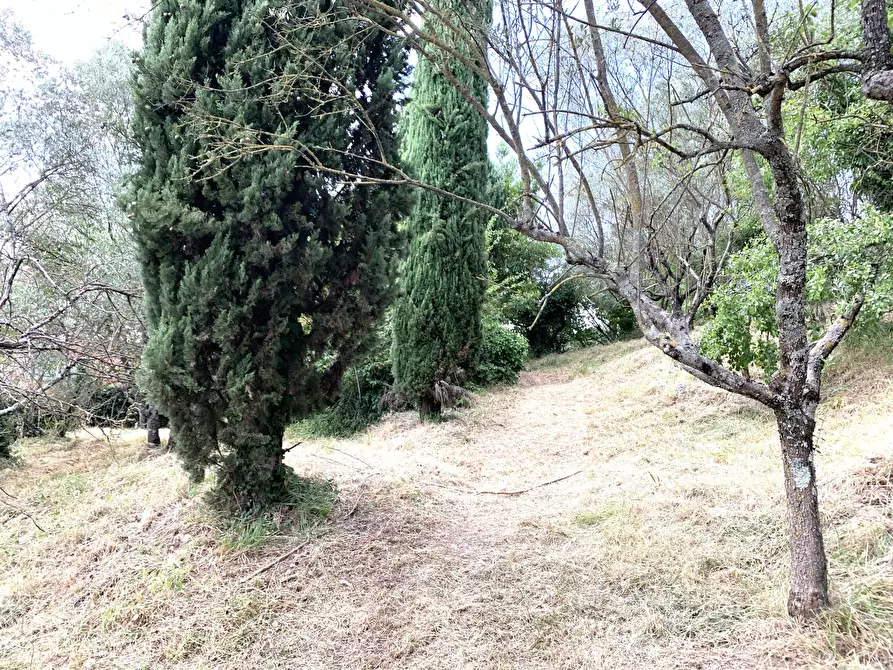 Immagine 15 di Terreno agricolo in vendita  in Via San Giorgetto a Anagni
