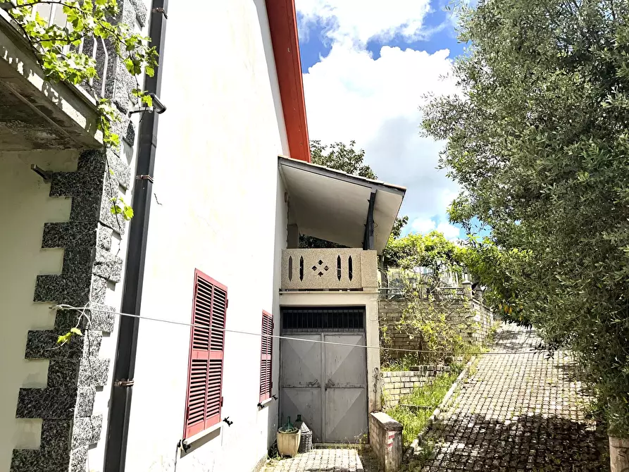 Immagine 41 di Villa in vendita  in Contrada Zancati Nuovo a Paliano
