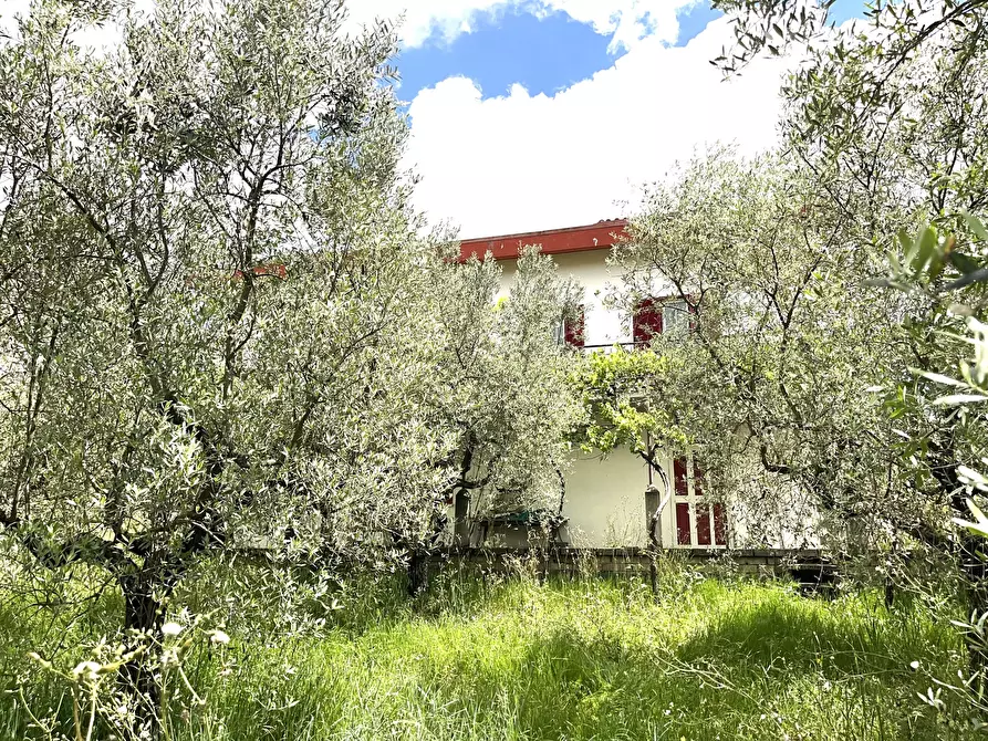 Immagine 40 di Villa in vendita  in Contrada Zancati Nuovo a Paliano
