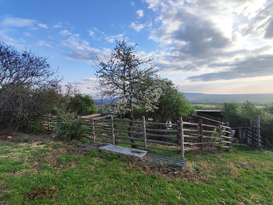 Immagine 2 di Terreno agricolo in vendita  in SP53a 53 a Tivoli