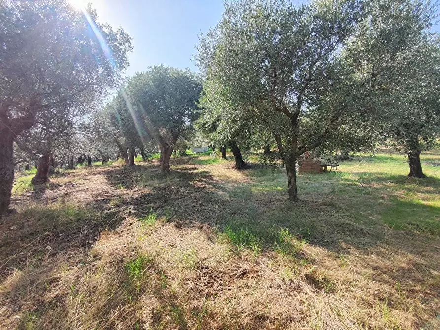 Immagine 1 di Terreno agricolo in vendita  in via col di mezzo a Guidonia Montecelio