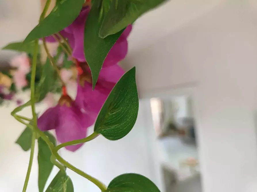 Immagine 25 di Villetta a schiera in vendita  in via colle mitriano 16 a Guidonia Montecelio