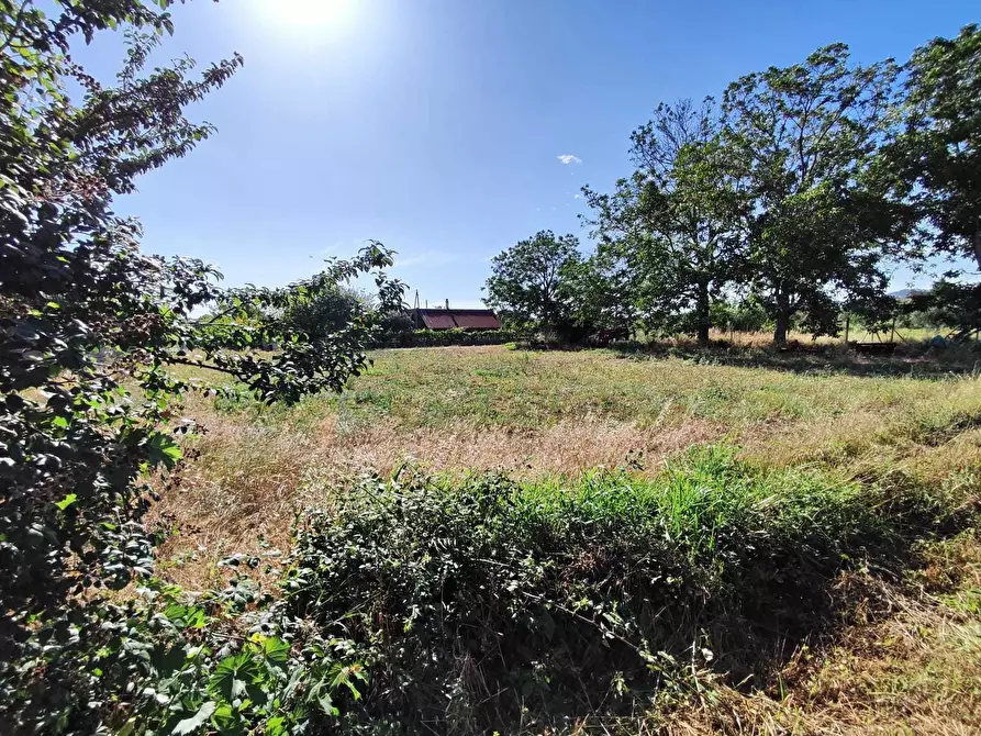 Immagine 11 di Terreno agricolo in vendita  in via colle ponte a Guidonia Montecelio