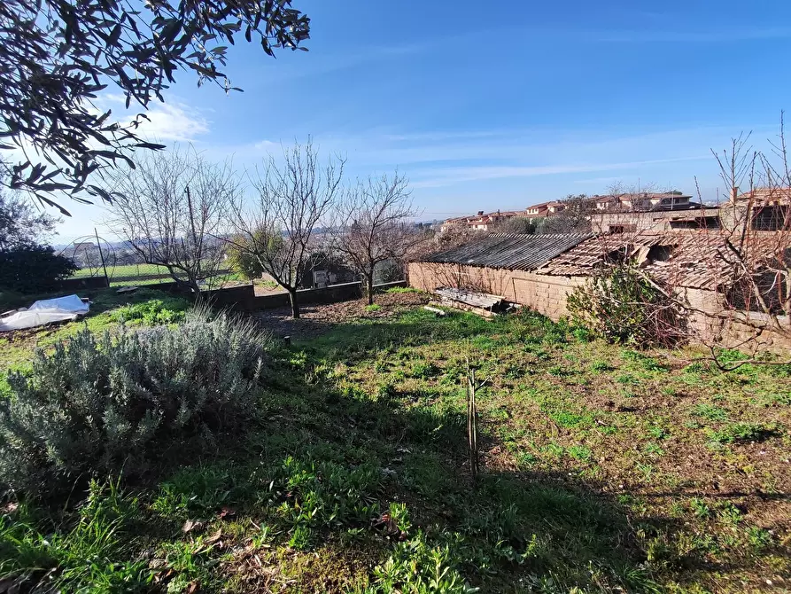 Immagine 15 di Terreno agricolo in vendita  in Via Colle di Mitriano a Guidonia Montecelio