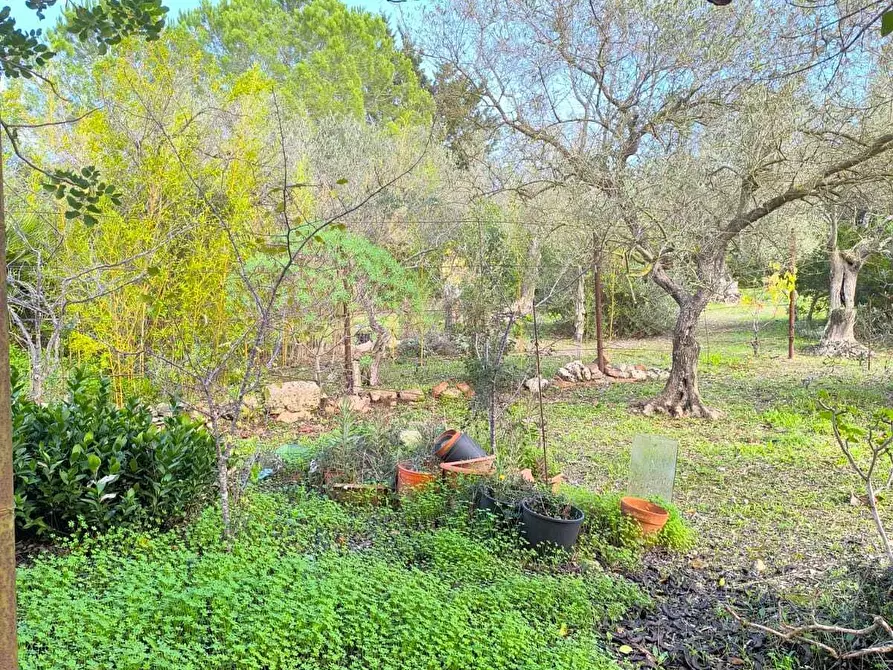 Immagine 32 di Villa in vendita  in Strada Vicinale Li Curuneddi Tronco B a Sassari