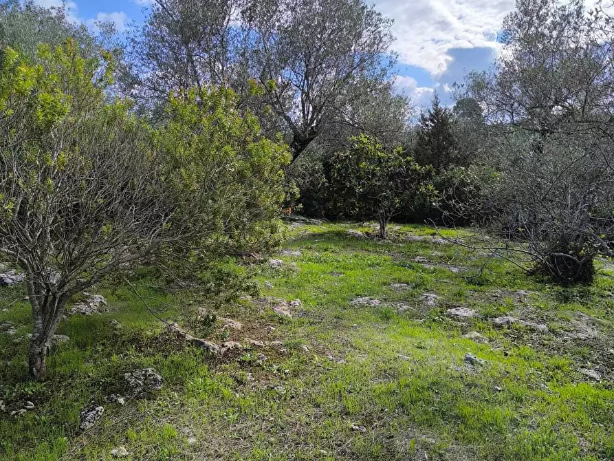 Immagine 30 di Villa in vendita  in Strada Vicinale Li Curuneddi Tronco B a Sassari