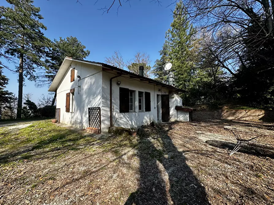 Immagine 13 di Rustico / casale in vendita  in Via Vicinale Santa Lucia a Cesena