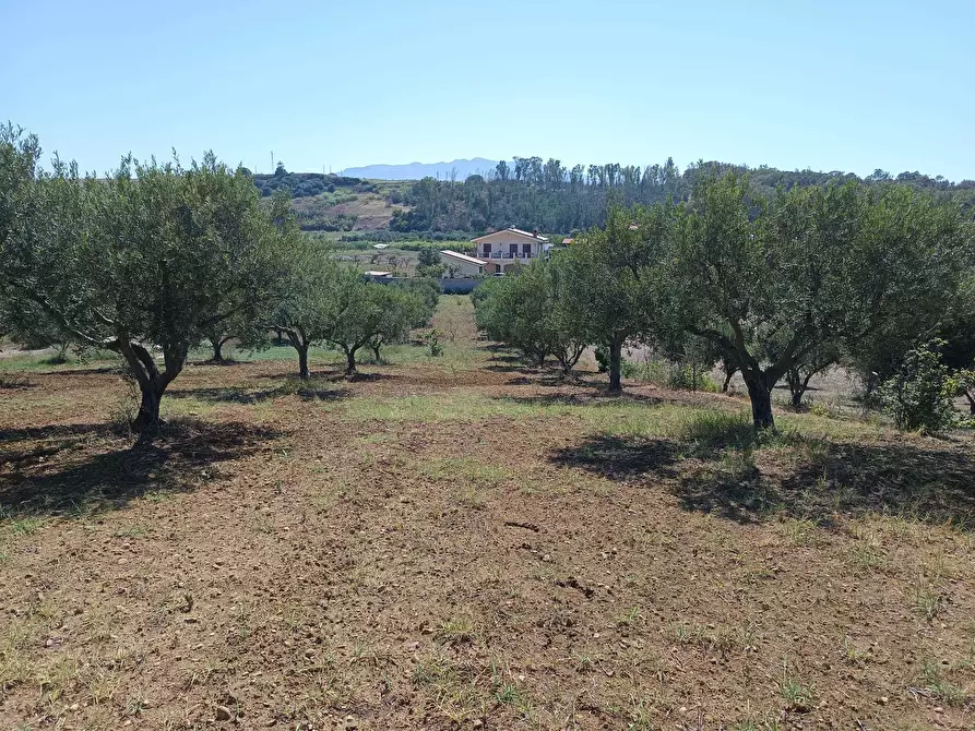 Immagine 3 di Terreno agricolo in vendita  a Balestrate