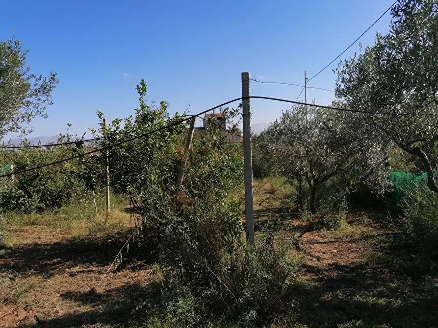 Immagine 32 di Rustico / casale in vendita  a Partinico