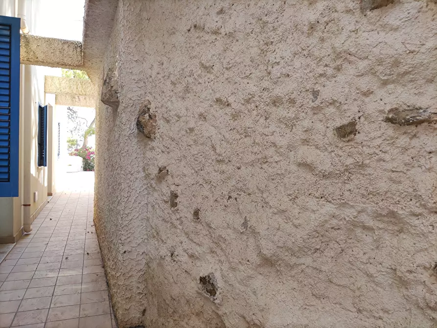 Immagine 10 di Trilocale in vendita  a Favignana