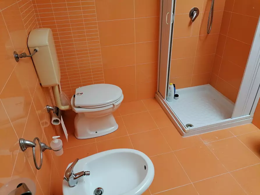 Immagine 27 di Trilocale in affitto  a Balestrate