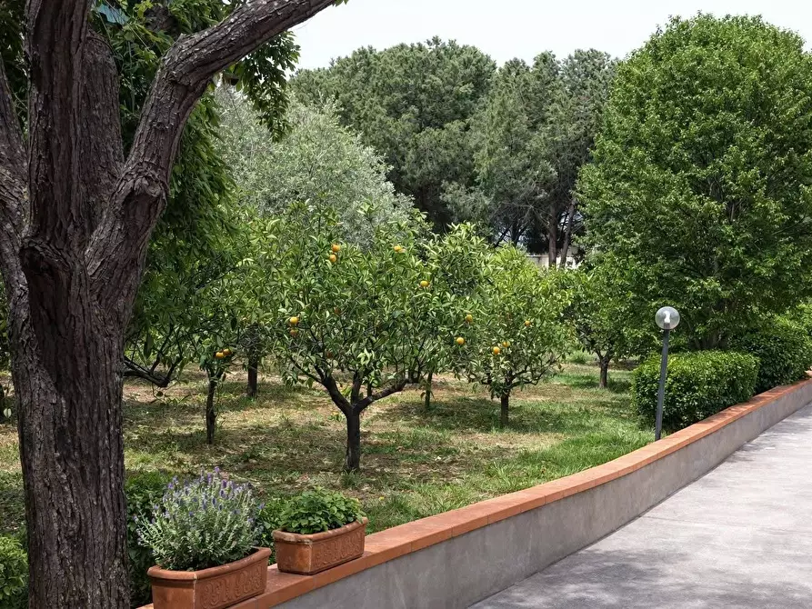 Immagine 7 di Villa in vendita  a Trabia