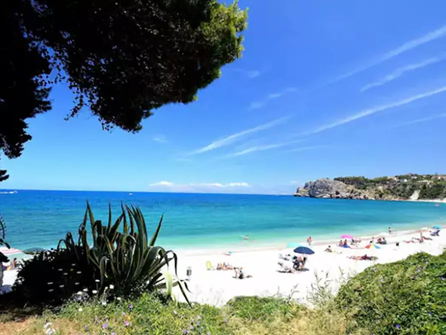 Immagine 21 di Villetta a schiera in affitto  a Castellammare Del Golfo