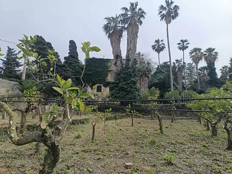 Immagine 16 di Villa in vendita  a Valderice