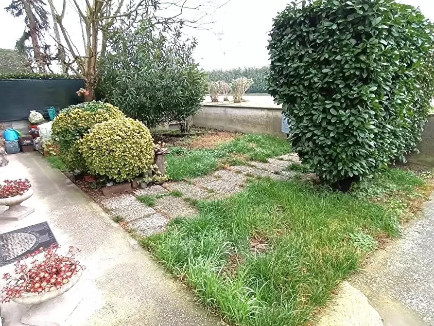 Immagine 5 di Casa bifamiliare in vendita  a Bosaro