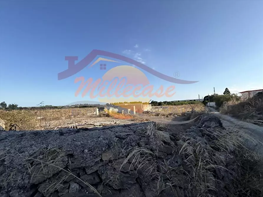 Immagine 23 di Terreno agricolo in vendita  in TRAVERSA SAN FRANCESCO a Siracusa