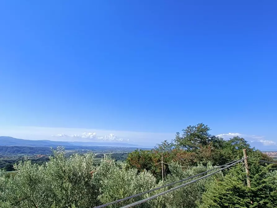 Immagine 15 di Villa in vendita  in SP79 a Feroleto Antico