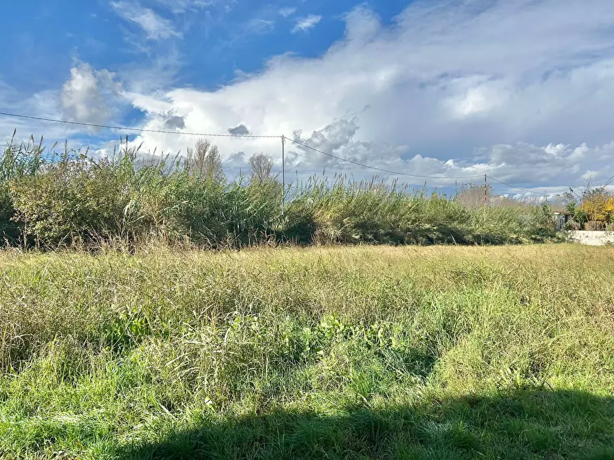 Immagine 17 di Rustico / casale in vendita  a Sarzana