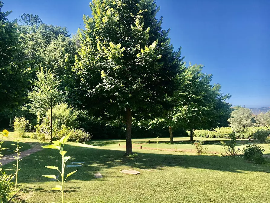 Immagine 29 di Rustico / casale in vendita  a Castelnuovo Magra