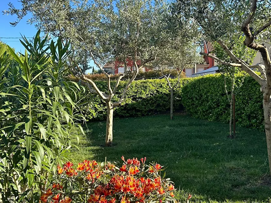 Immagine 4 di Terratetto in vendita  a Sarzana