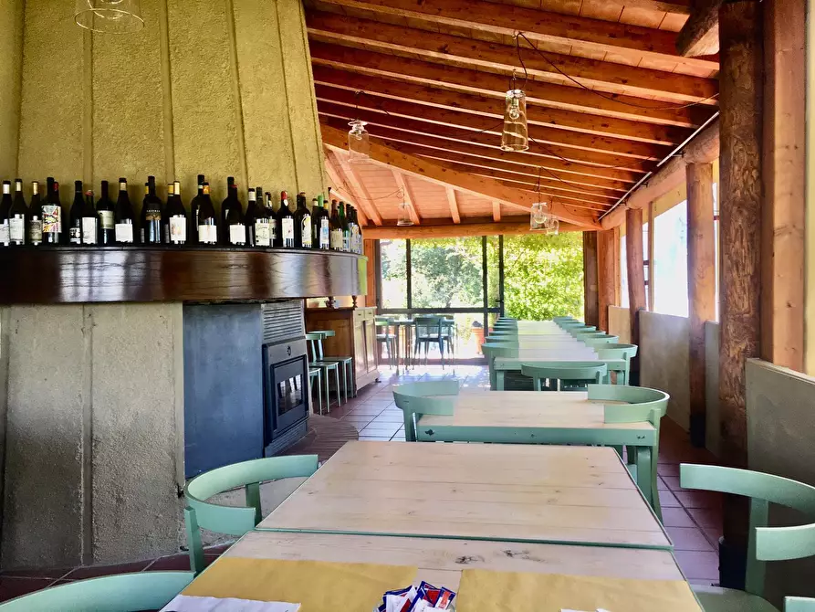 Immagine 35 di Agriturismo in vendita  a Castelnuovo Magra