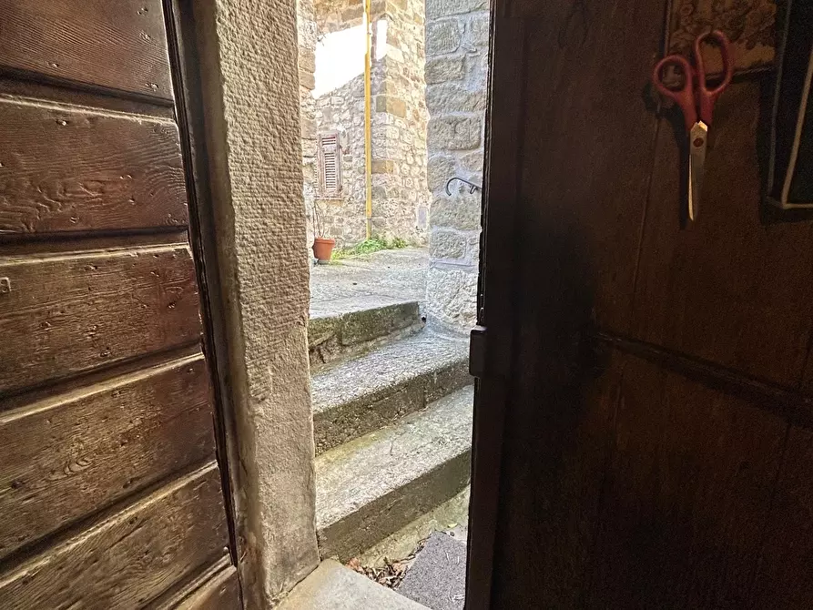 Immagine 12 di Terratetto in vendita  in Località Luscignano 18 a Casola In Lunigiana