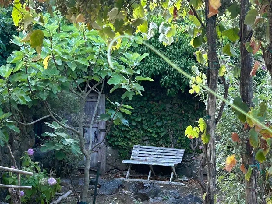 Immagine 9 di Rustico / casale in vendita  a Ameglia