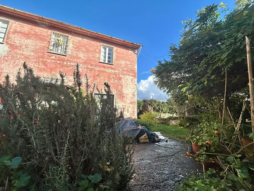 Immagine 9 di Rustico / casale in vendita  a Sarzana