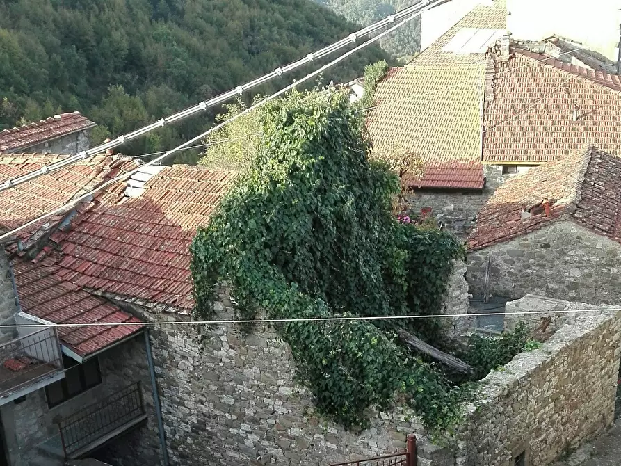 Immagine 54 di Casa indipendente in vendita  in Località Luscignano 18 a Casola In Lunigiana