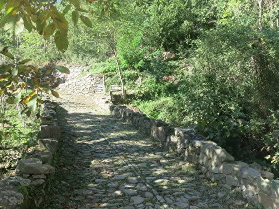 Immagine 7 di Rustico / casale in vendita  a Fosdinovo