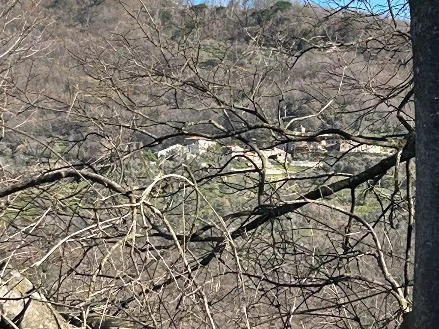 Immagine 21 di Terratetto in vendita  in Località Luscignano 18 a Casola In Lunigiana