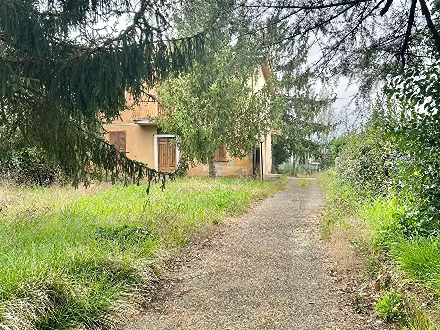 Immagine 4 di Casa bifamiliare in vendita  a Sarzana