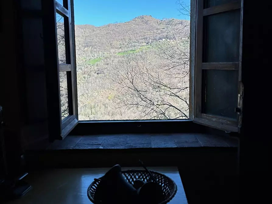 Immagine 16 di Terratetto in vendita  in Località Luscignano 18 a Casola In Lunigiana