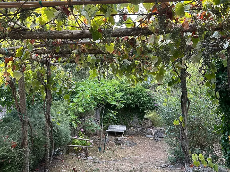 Immagine 21 di Rustico / casale in vendita  a Ameglia