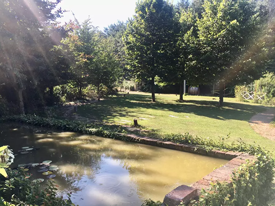 Immagine 19 di Rustico / casale in vendita  a Castelnuovo Magra